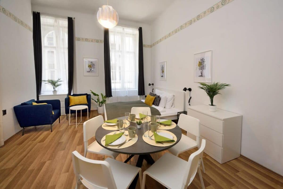 Spacious Basic In The Center * Budapest
